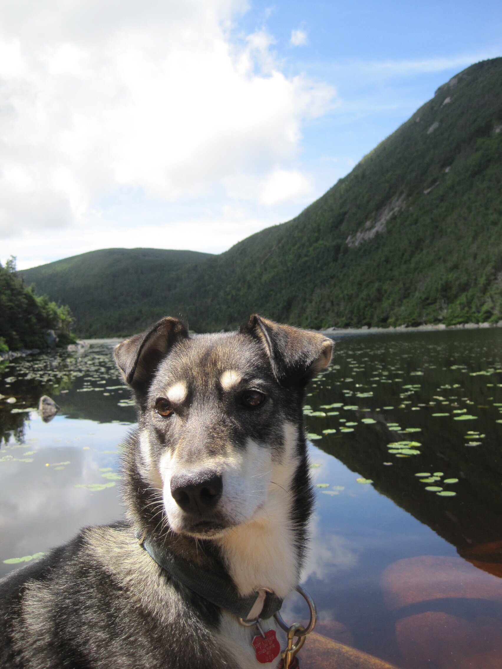  Kinsman Pond 