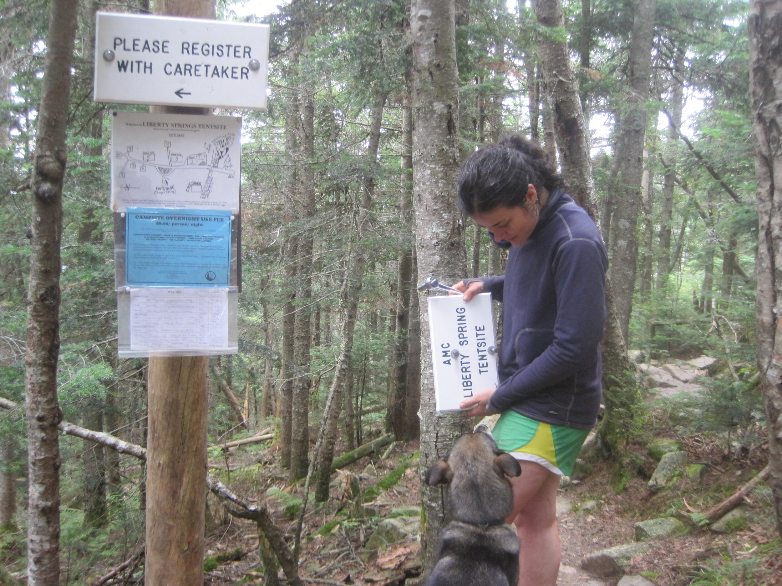  ‘And where do you think the sign should go Plexico?’ Liberty Springs tentsite, 2013.  