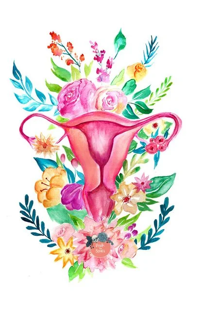 uterus.jpg