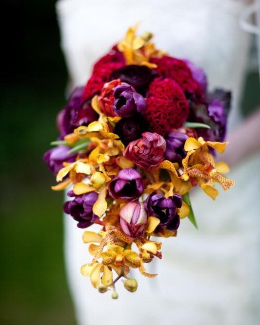 Never be afraid to be bold! Brilliant jewel colours from my days with @vtbflower A fully wired bouquet, featuring orchids, tulips, ranunculus and velvety celosia (and who knew you could wire celosia)? #weddingflowers #wedding #weddingphotography #wed