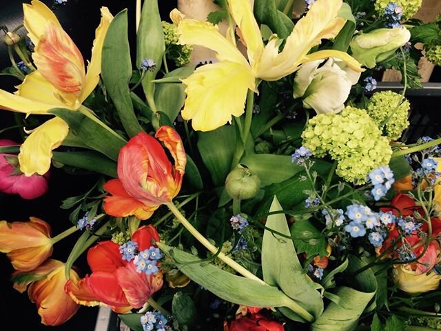 Spring Mash Up! All my seasonal favourites jumbled together. I wouldn&rsquo;t mind turning this into a fabulous oversized wallpaper.  #flowers #flower #flowersofinstagram #flowerstagram #flowerlife #flowerlovers #spring #springtime #springflowers #tu