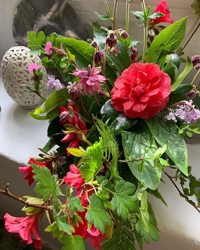 &ldquo;You must have the most beautiful flowers in your house&rdquo;, is a phrase I&rsquo;ve often heard over the years. I certainly do today. Camellia, azalea, aquilegia, pink bells and campions 💕  #houseflowers #jugoftheweekchallenge #flowersathom