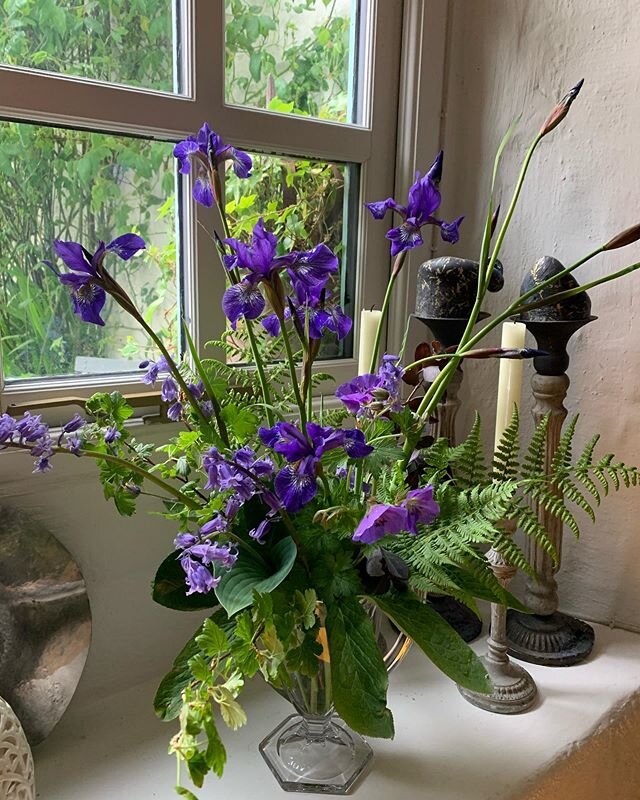 Moody Blues for #jugoftheweekchallenge The forget me nots are all but spent, but the bluebells are still going strong. The stars of the show though are the Iris Sibirica, which look as if they&rsquo;ve been cut from velvet - not forgetting the first 