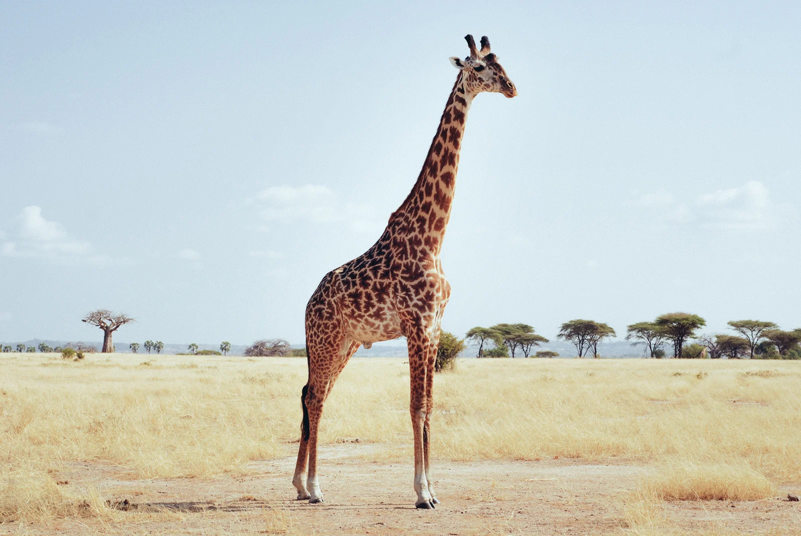 3_tanzania17.jpg