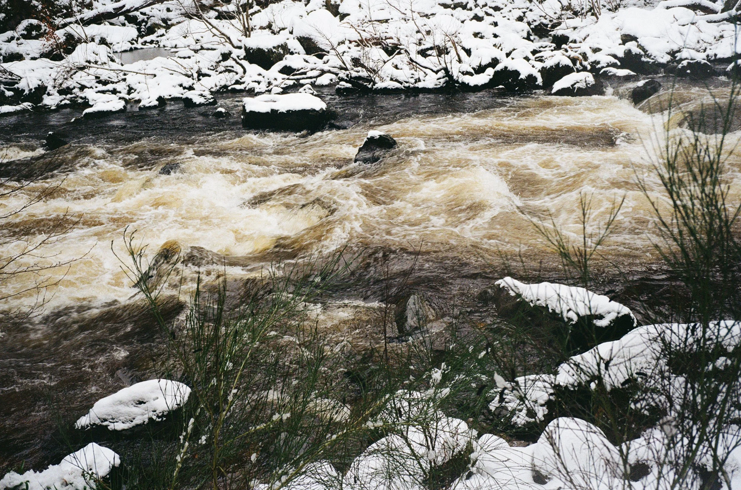 winter-3.jpg