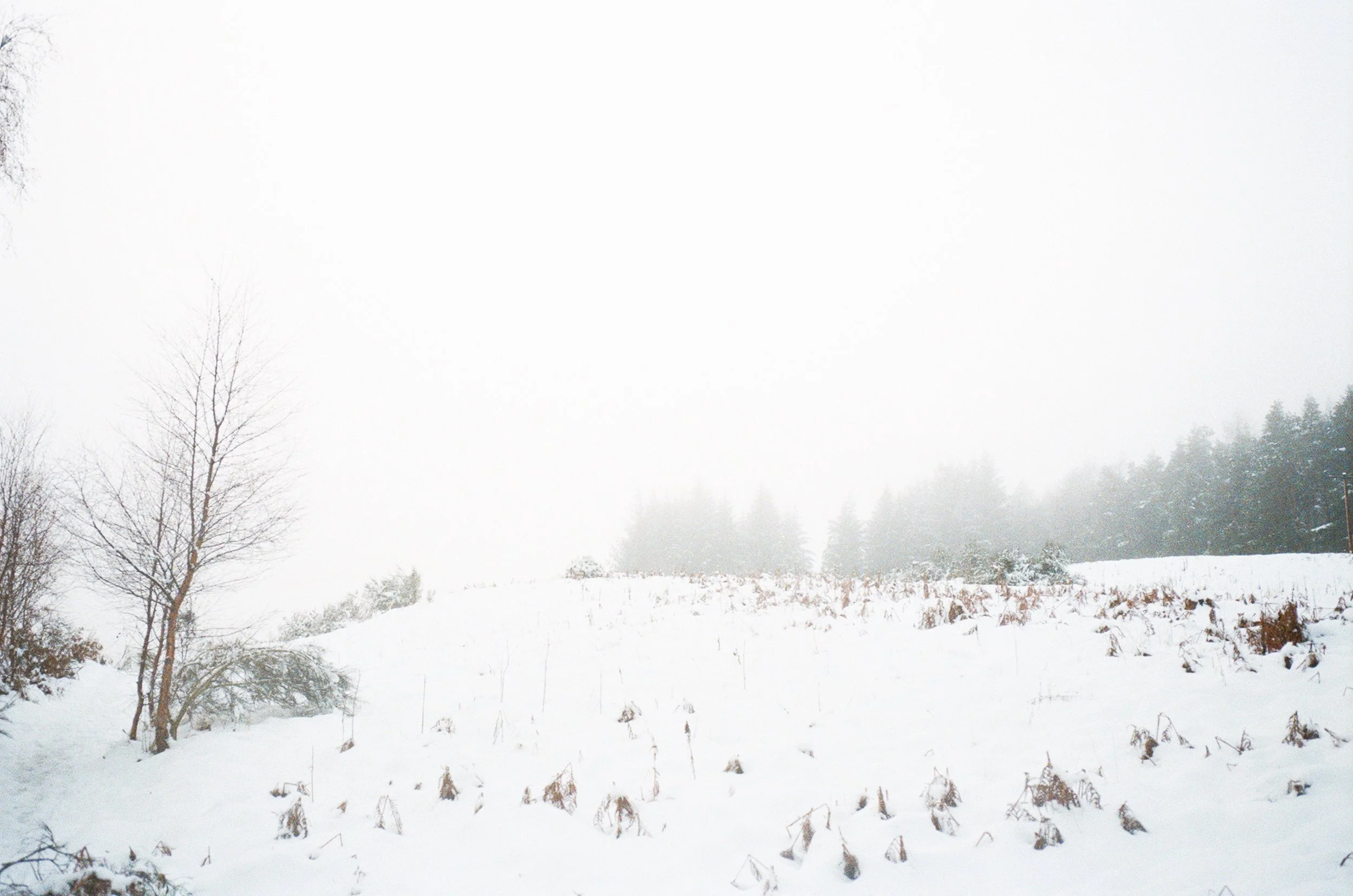 winter-14.jpg