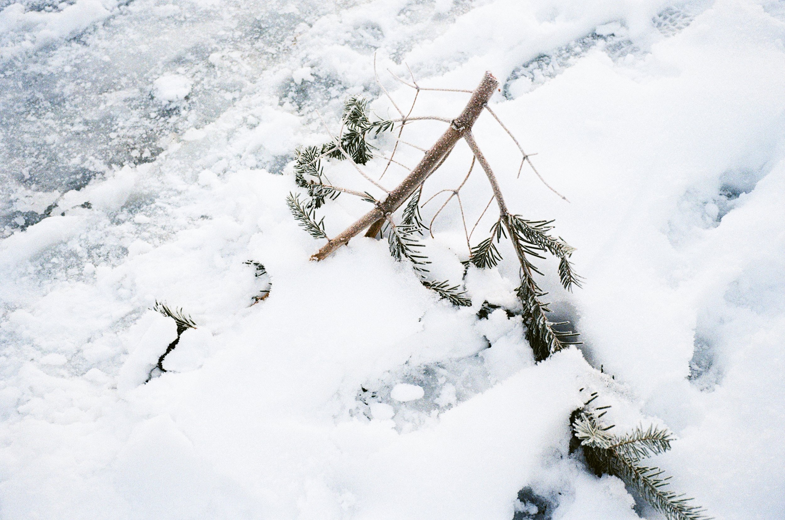 winter-16.jpg