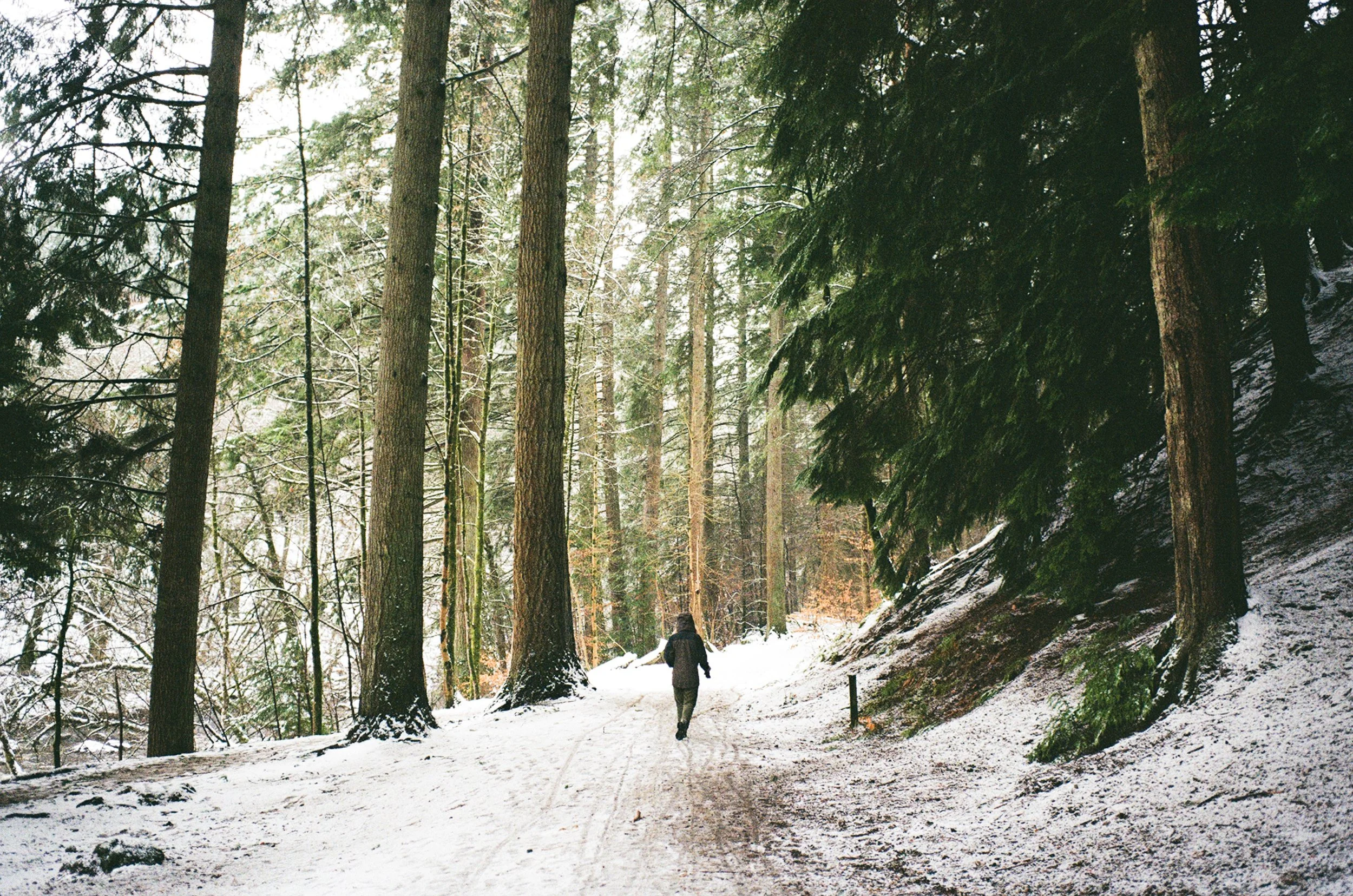 winter-2.jpg