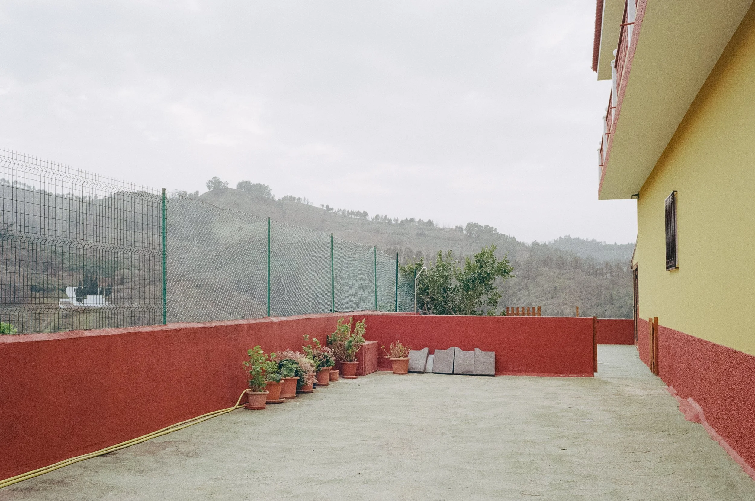 canaria-3.jpg