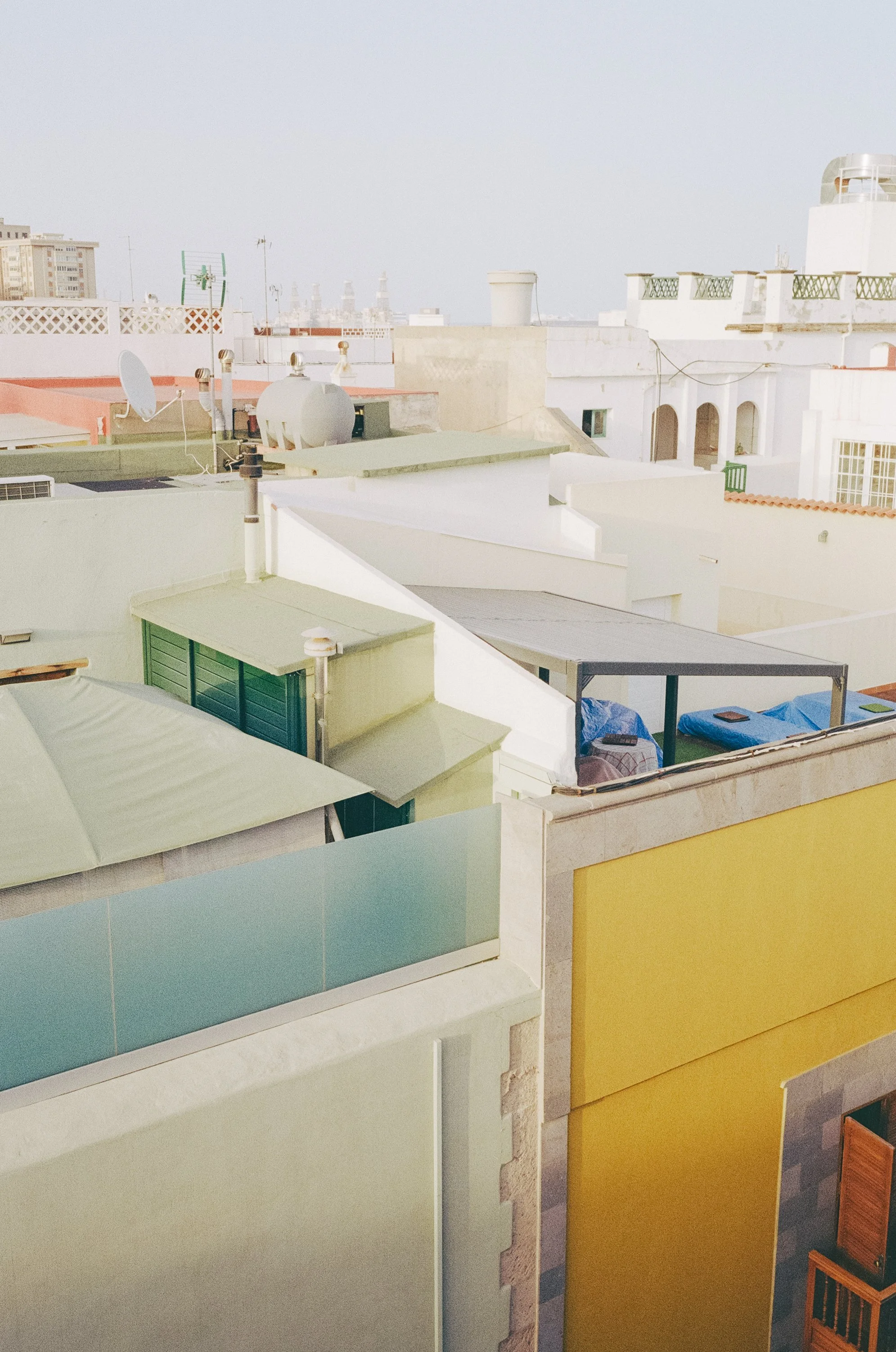 canaria-7.jpg