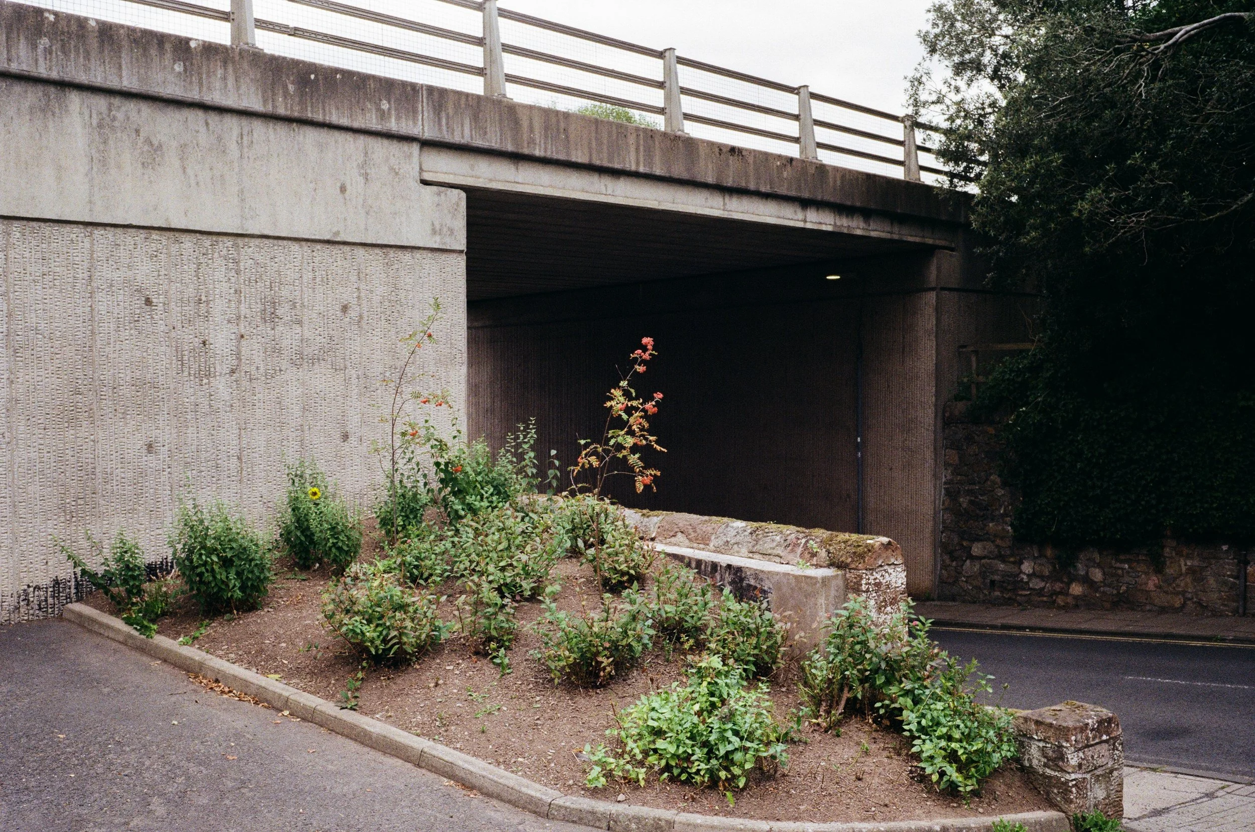000016310025.jpg