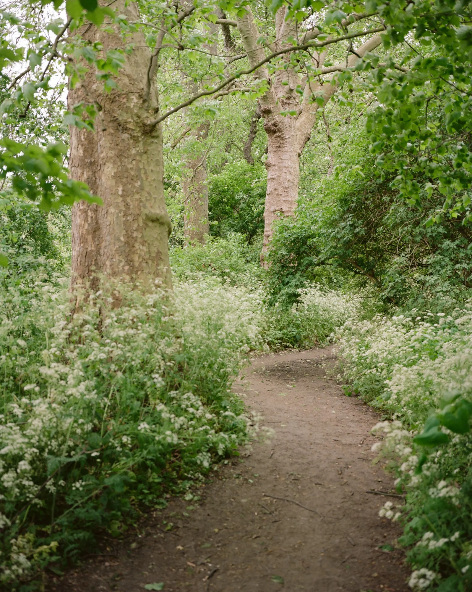 photo-1.jpg