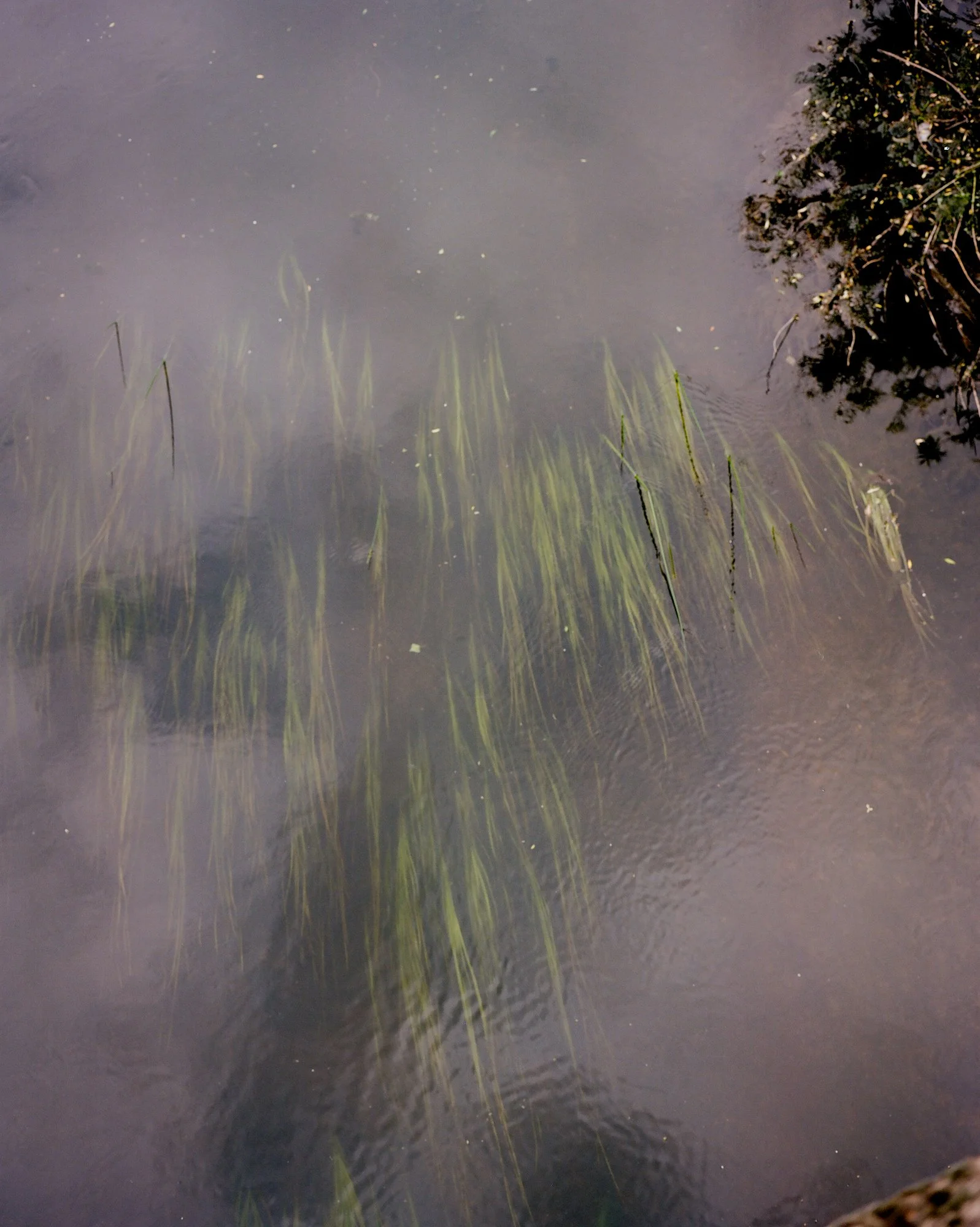 photo-5.jpg