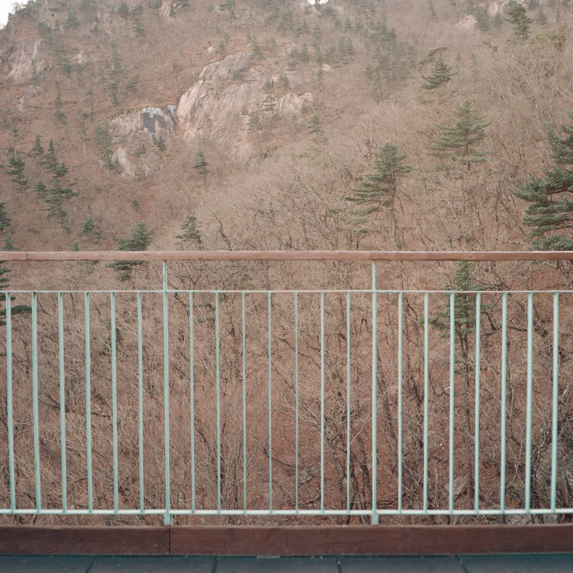 photo-8.jpg