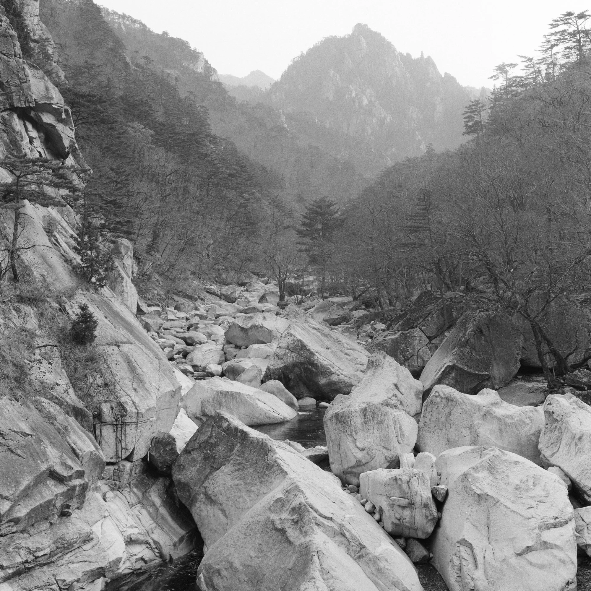 photo-16.jpg