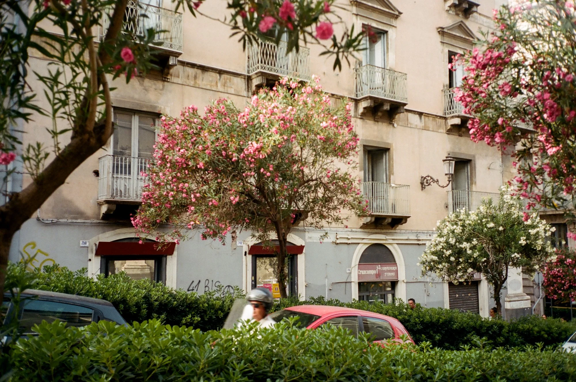 photo-12.jpg