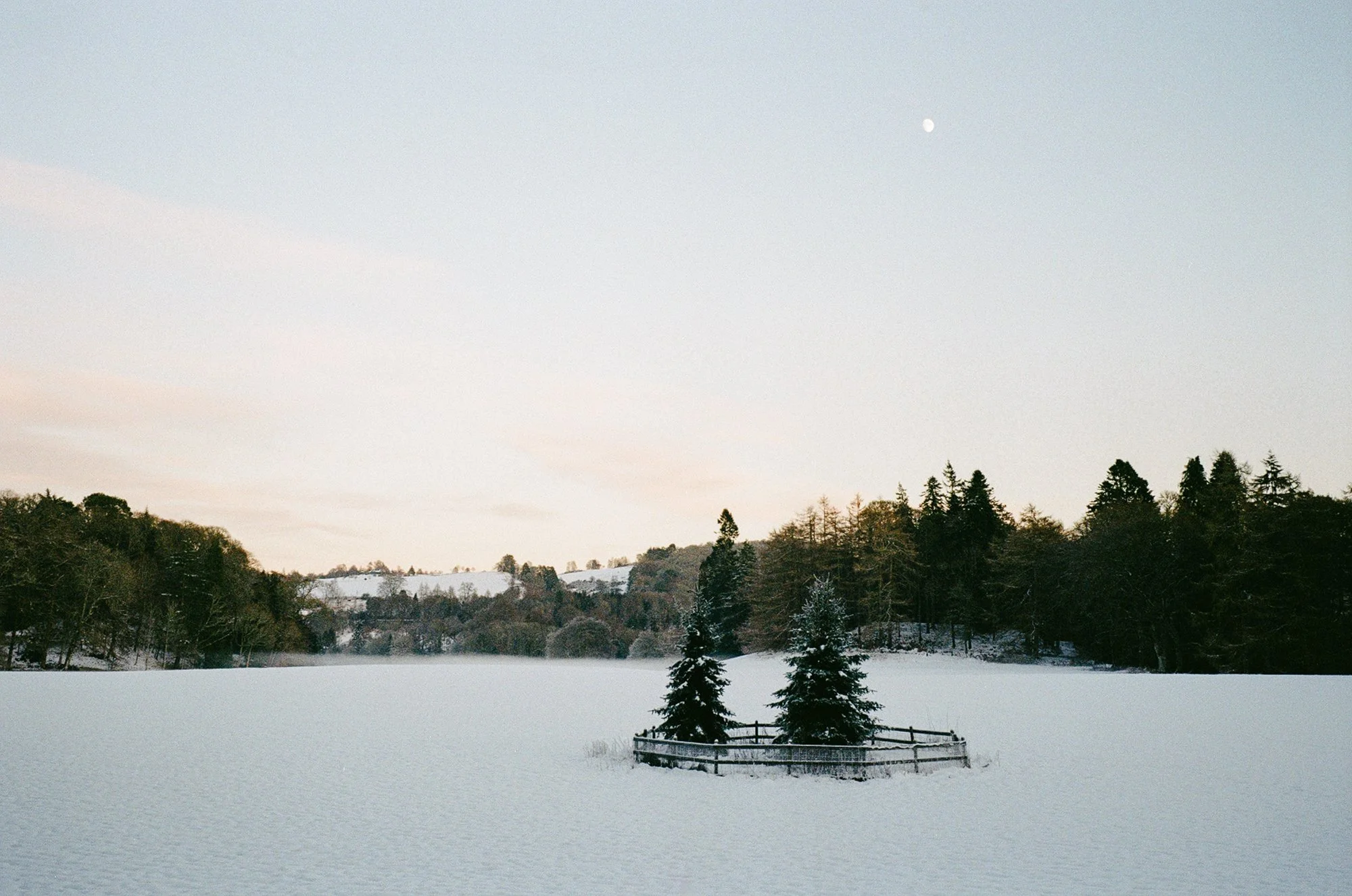 photo-4.jpg