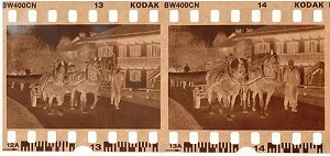 Negatives 2.jpg