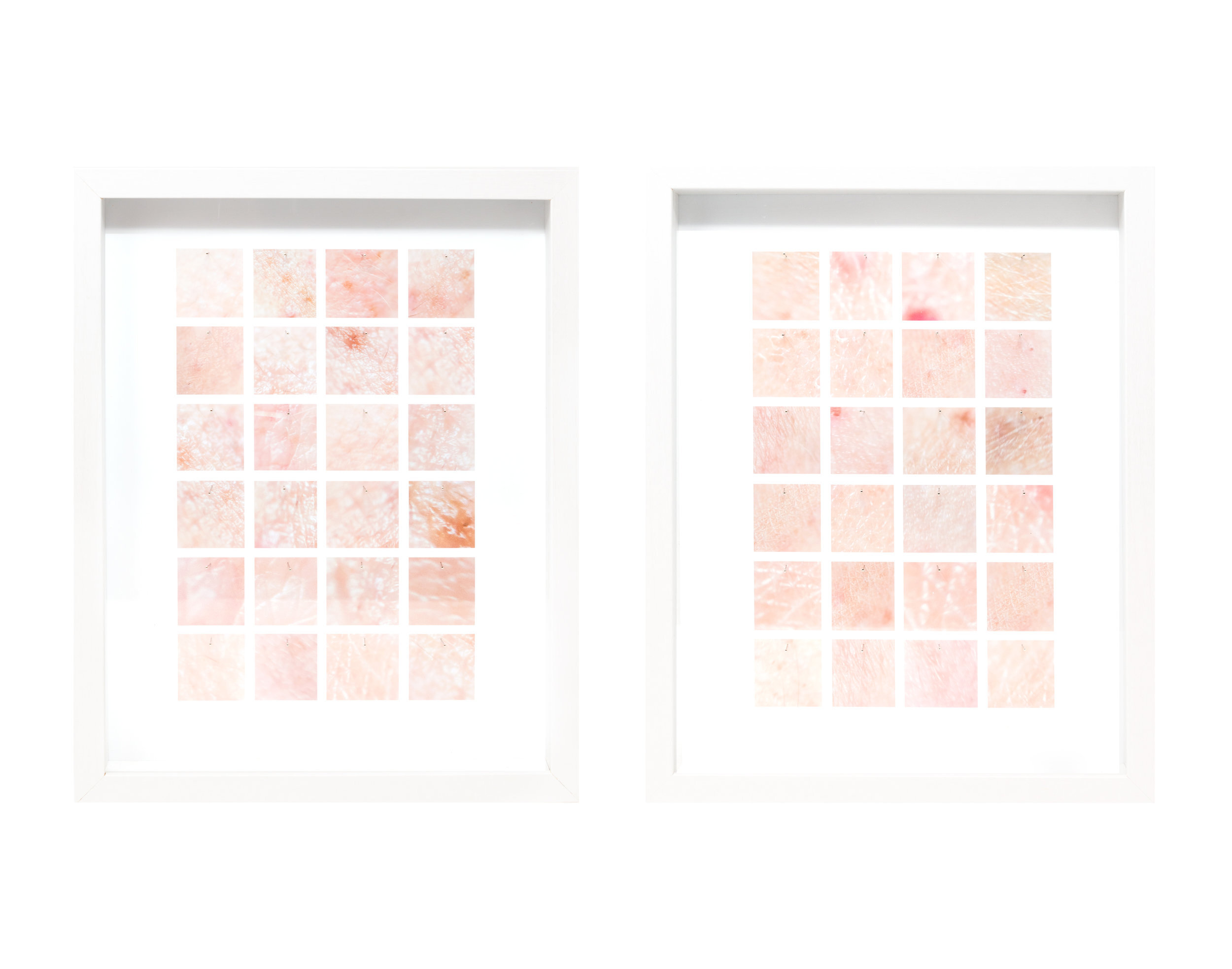 Taxonomy of Flesh