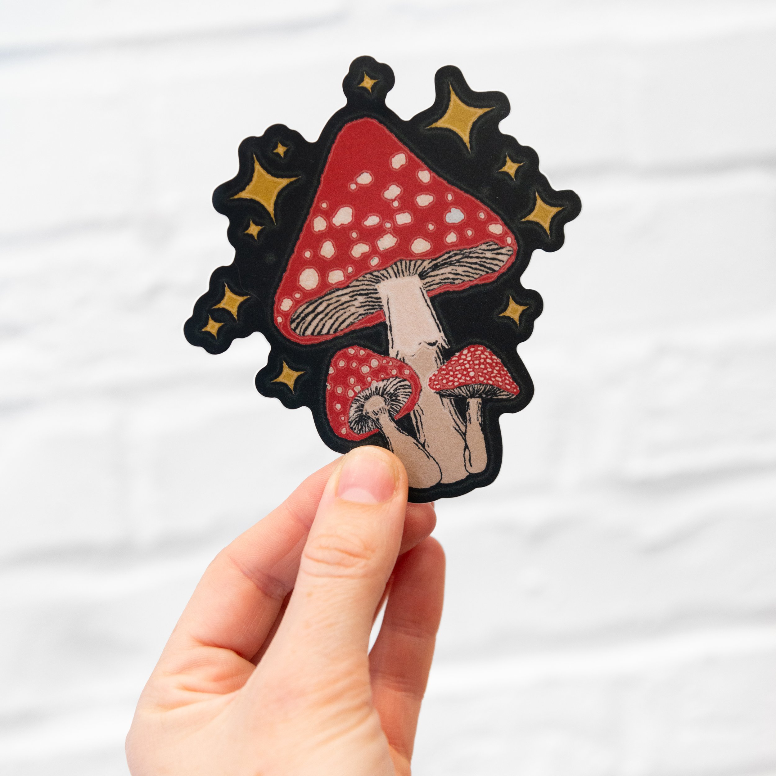 Groovy Toadstools Mockup 1.jpg