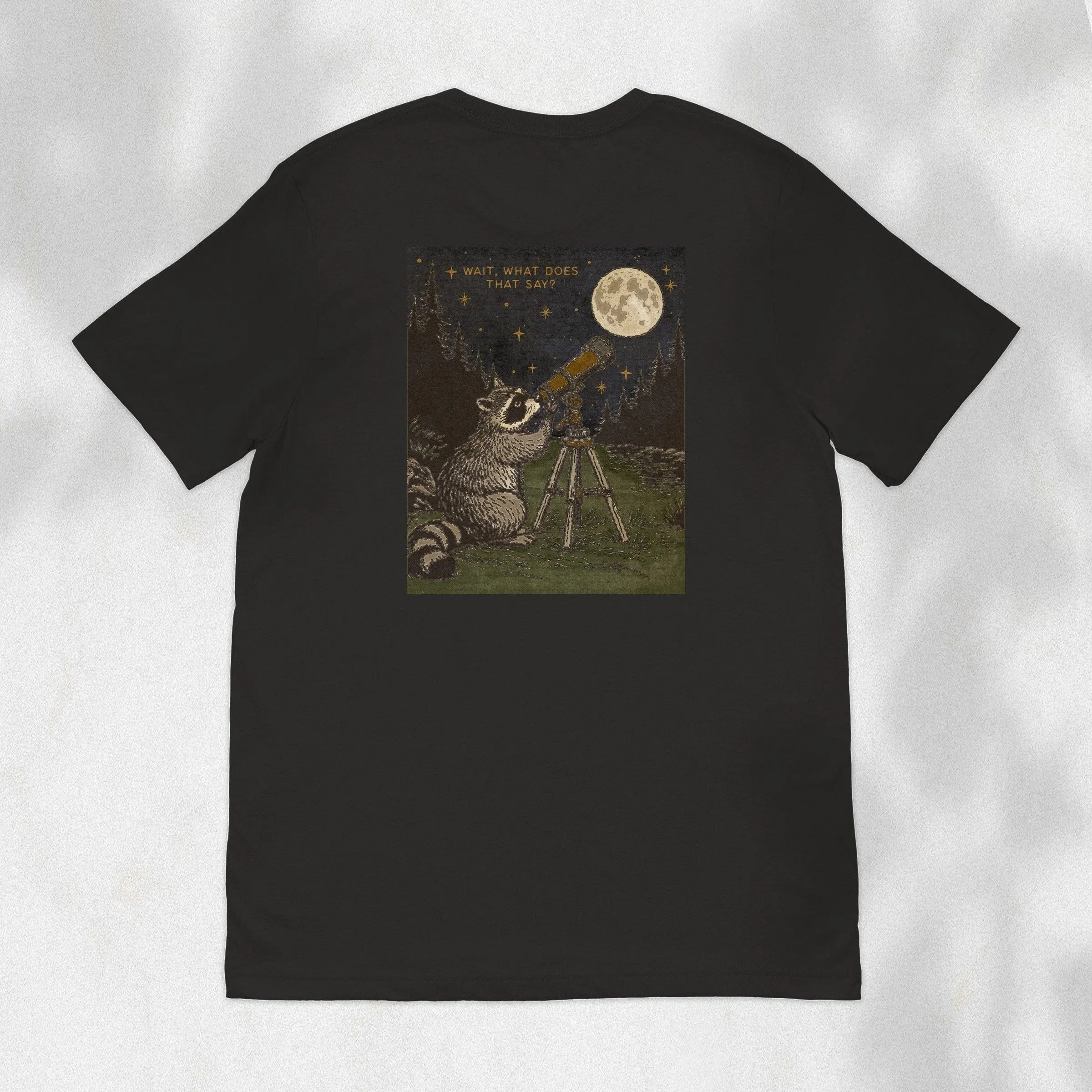 Raccoon+Alien+Shirt+Back+2.jpg
