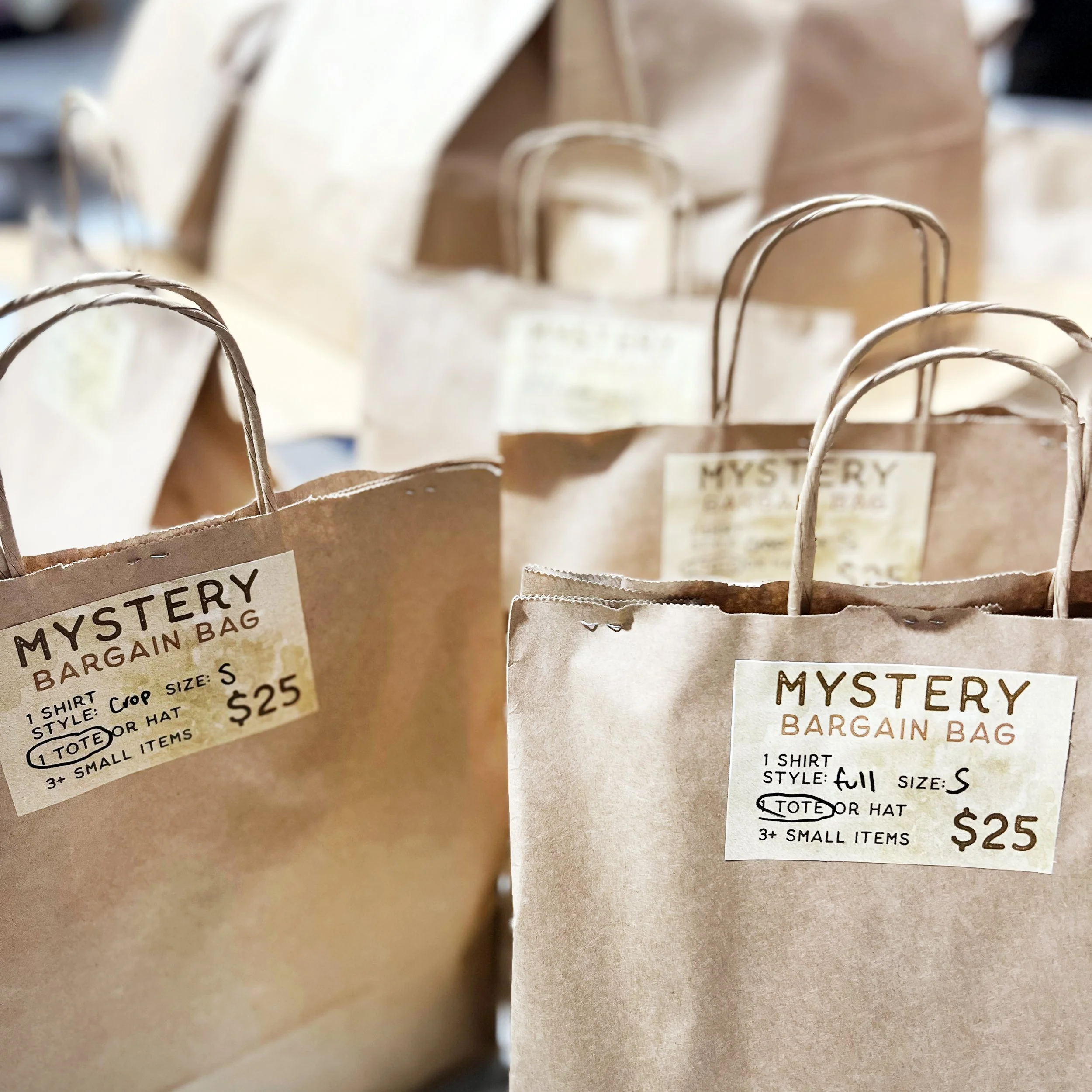 Mystery Bargain Bags