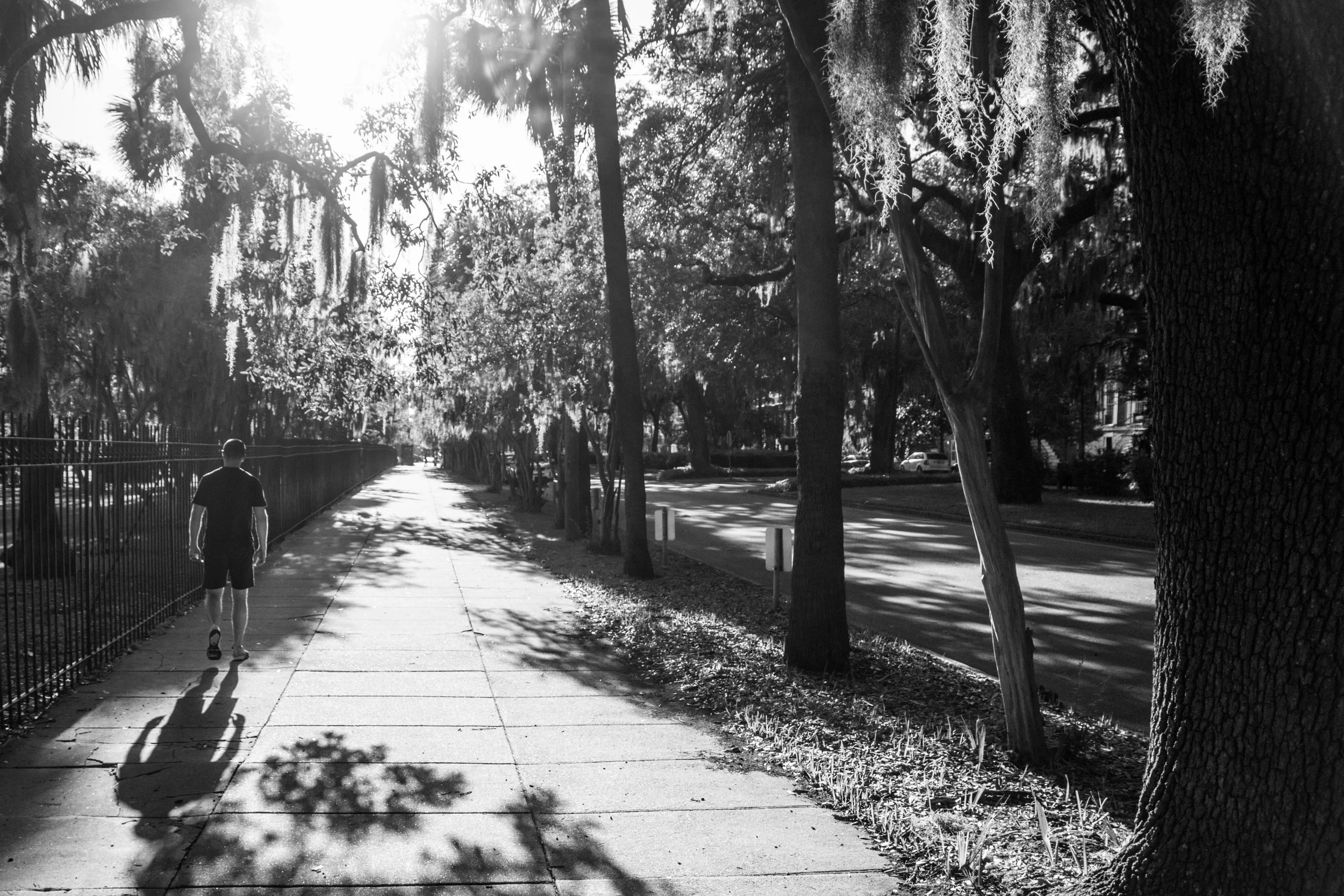 Colonial Park Cemetary, Savannah, GA