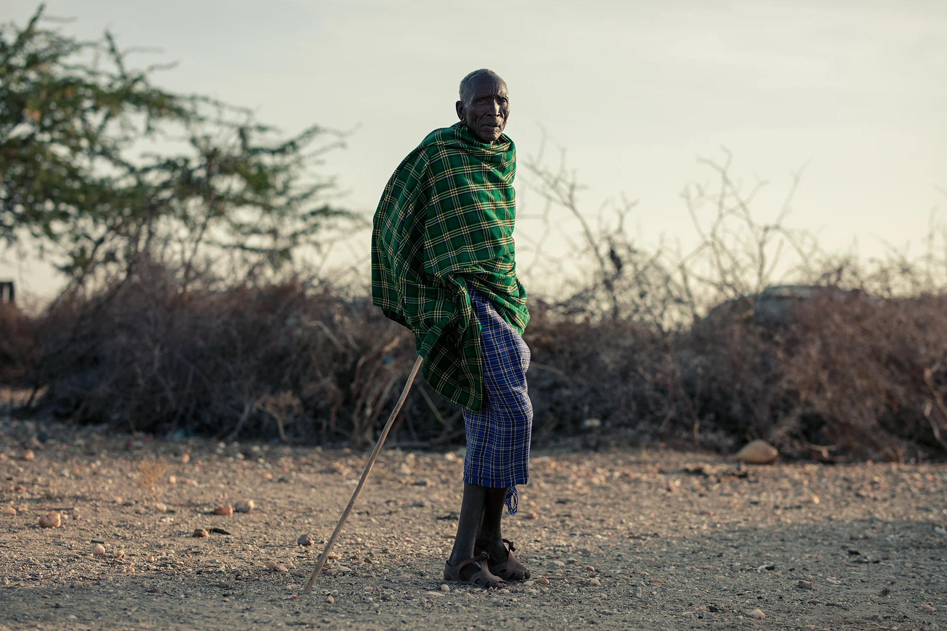 _W9A6296 as Smart Object-1.jpg