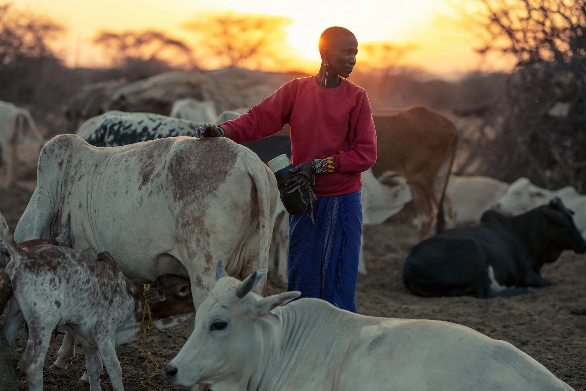 _W9A6387 as Smart Object-1.jpg