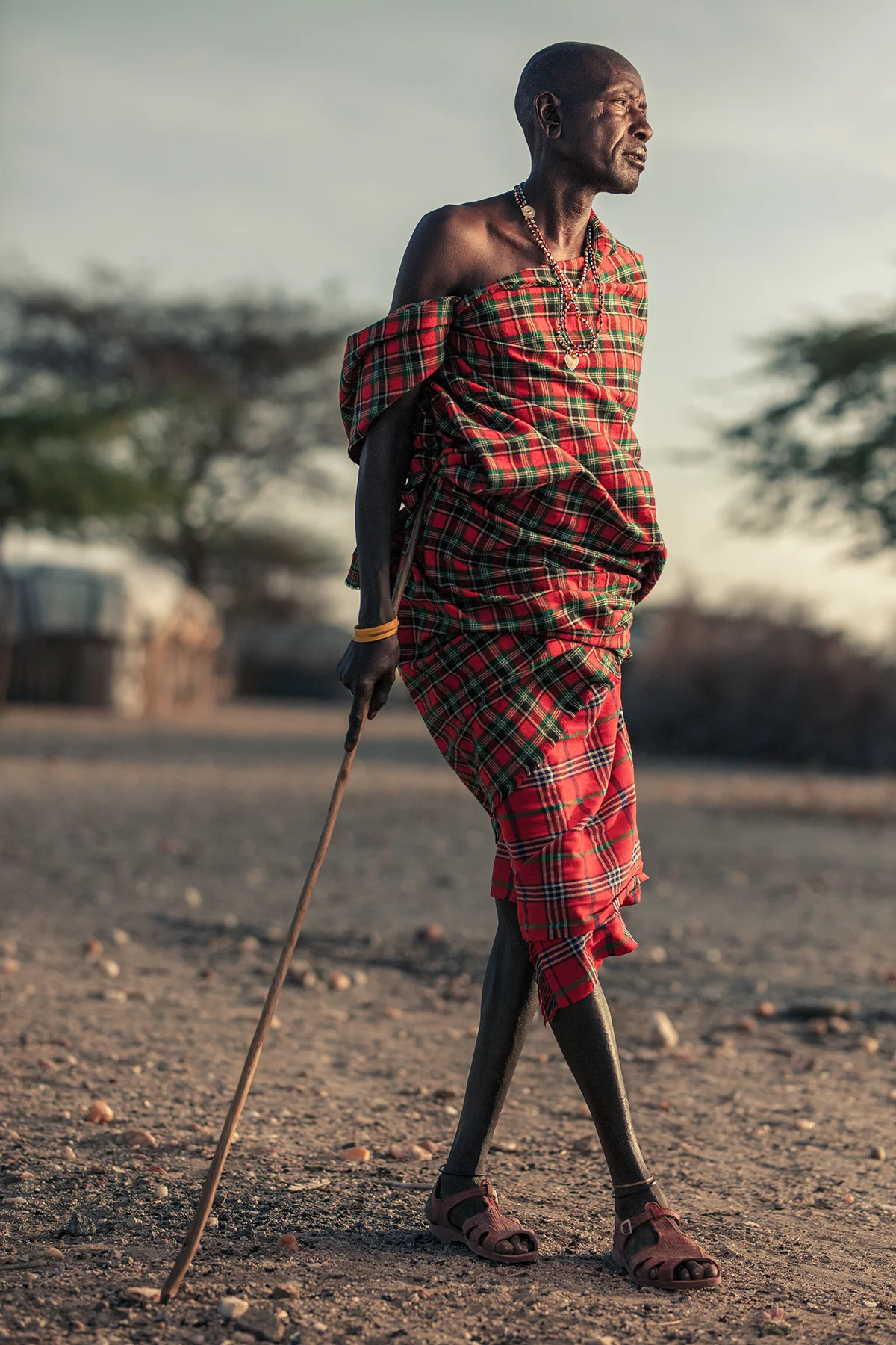 _W9A6287 as Smart Object-1.jpg