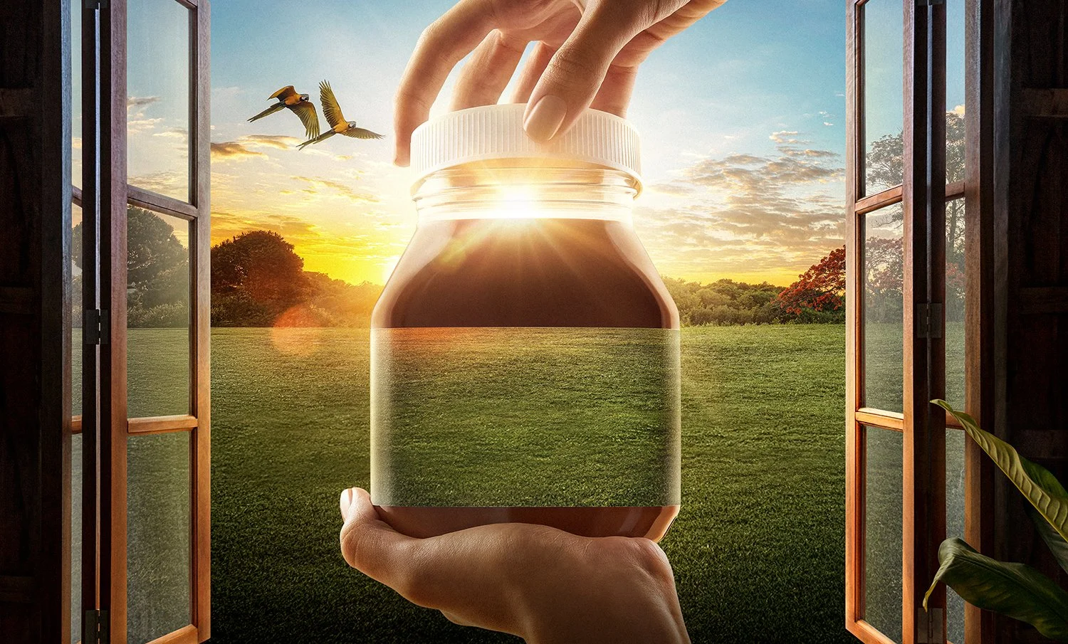 Centro Oeste 2 copy.jpg