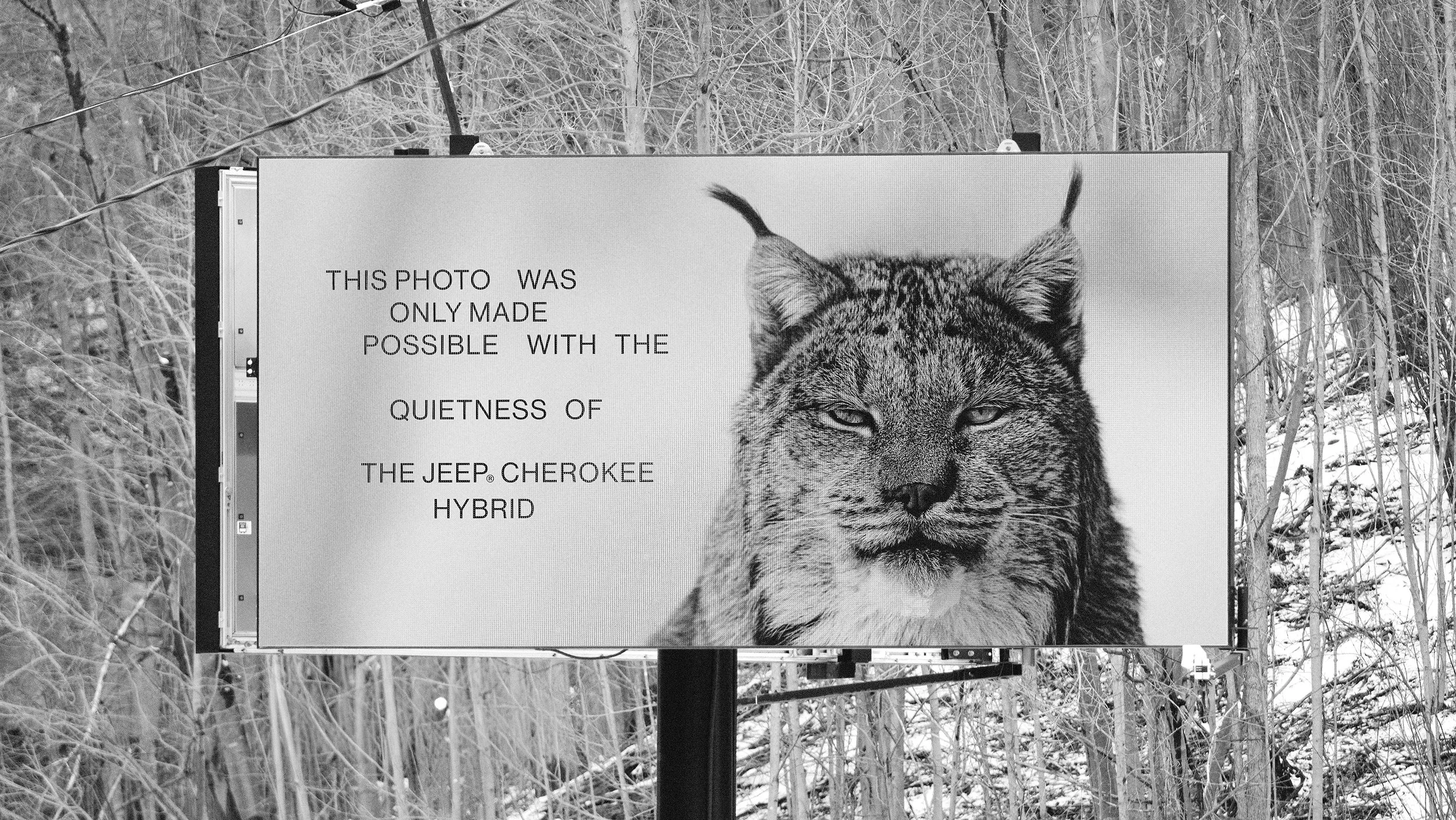 LYNX_OOH copy.jpg