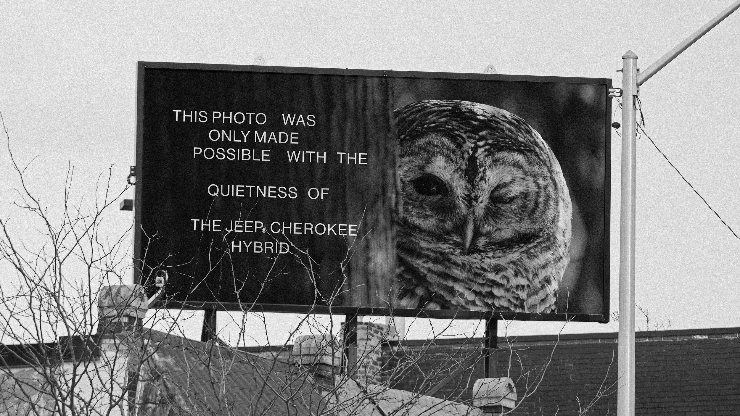 OWL_OOH copy.jpg