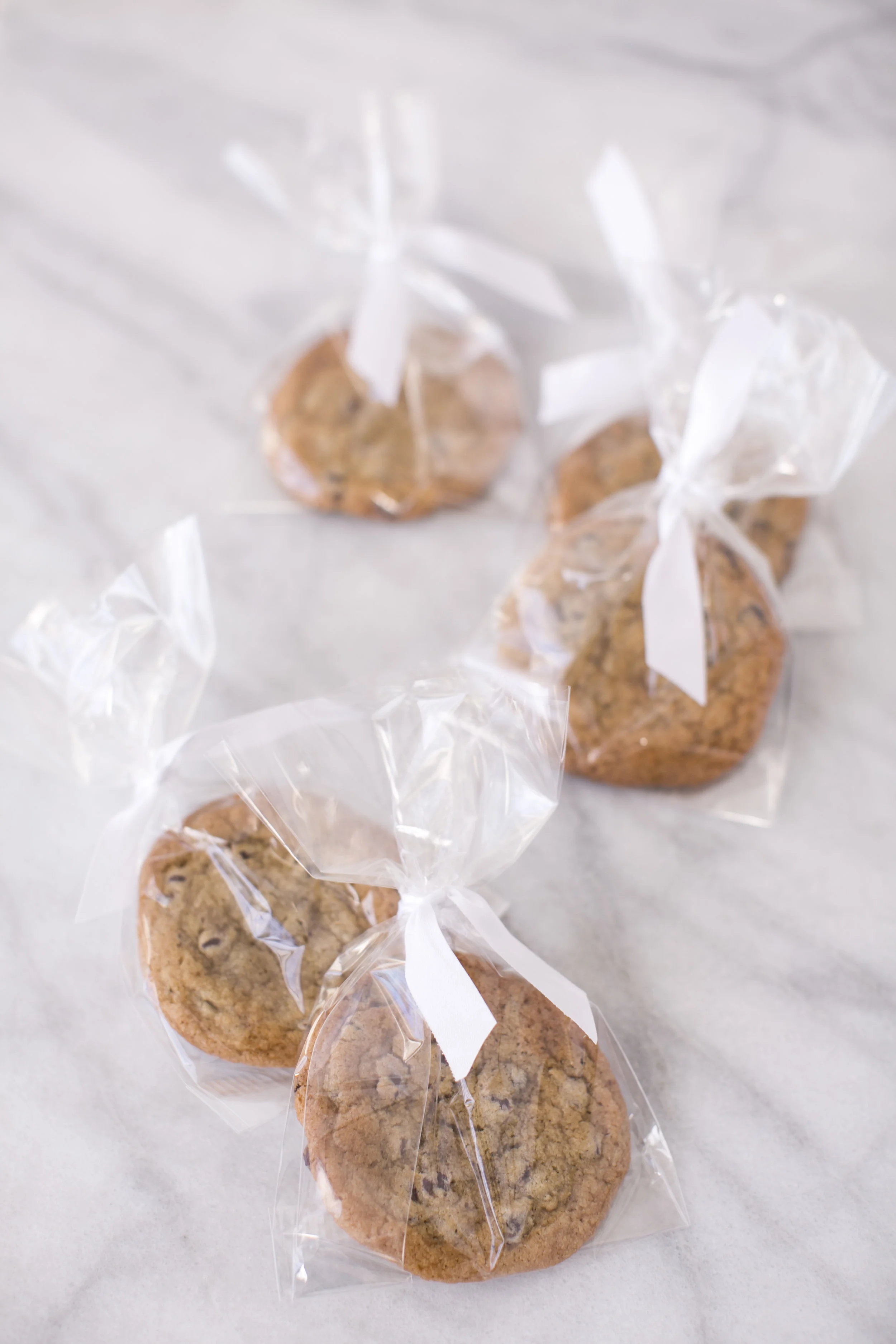 Chocolate Chip .jpg