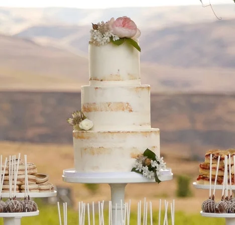 Nearly Naked Wedding Cake (flowers not included)
