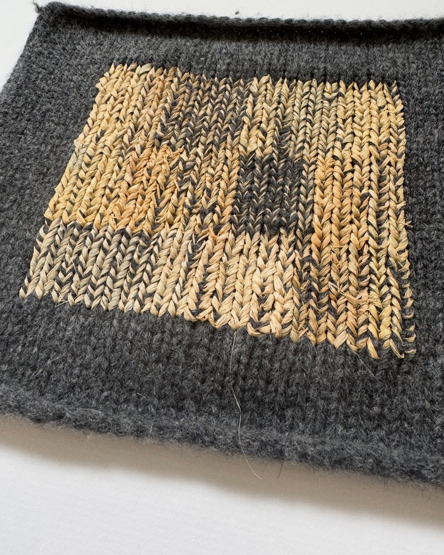 Raffia - playing with duplicate stitch. 

#duplicatestitch #swissdarning #raffia #embellishment #embellishingknitting