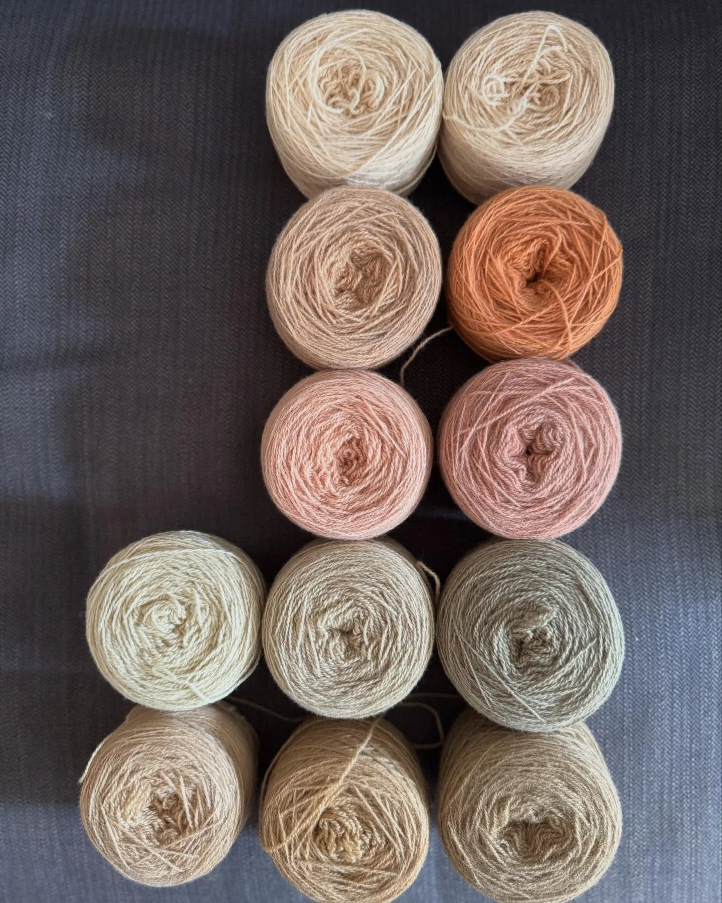 Since the new year, I&rsquo;ve been slowly gathering natural dyestuffs - only collecting what I can find less than a mile from home. Most have come from local trees, with the exception of the rosemary bush in our garden (still debating whether that c