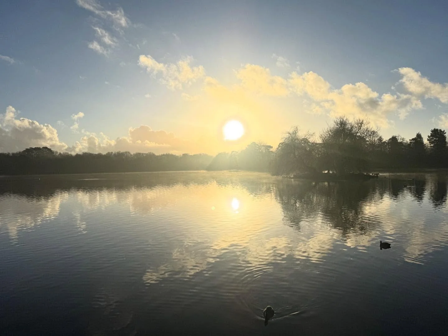 Happy Christmas and best wishes for 2026

Thanks for following along with my consistently inconsistent posting! 

#petersfieldheath #petersfieldheathlake