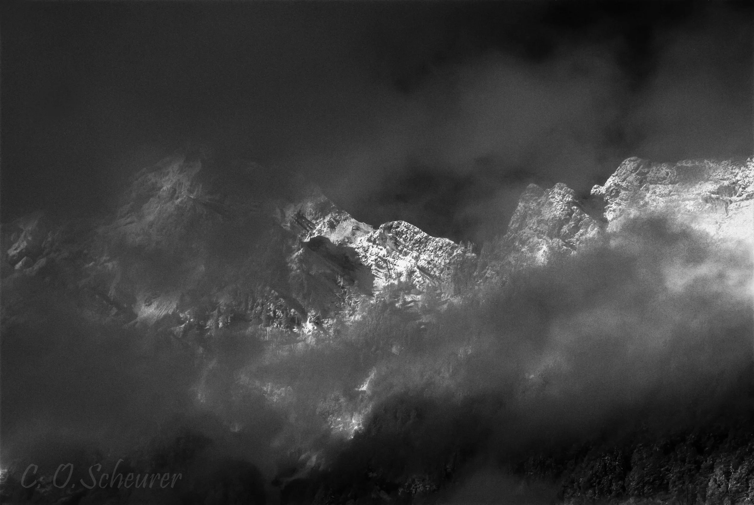 OS9_4671 -b-small_C-OliScheurer.jpg