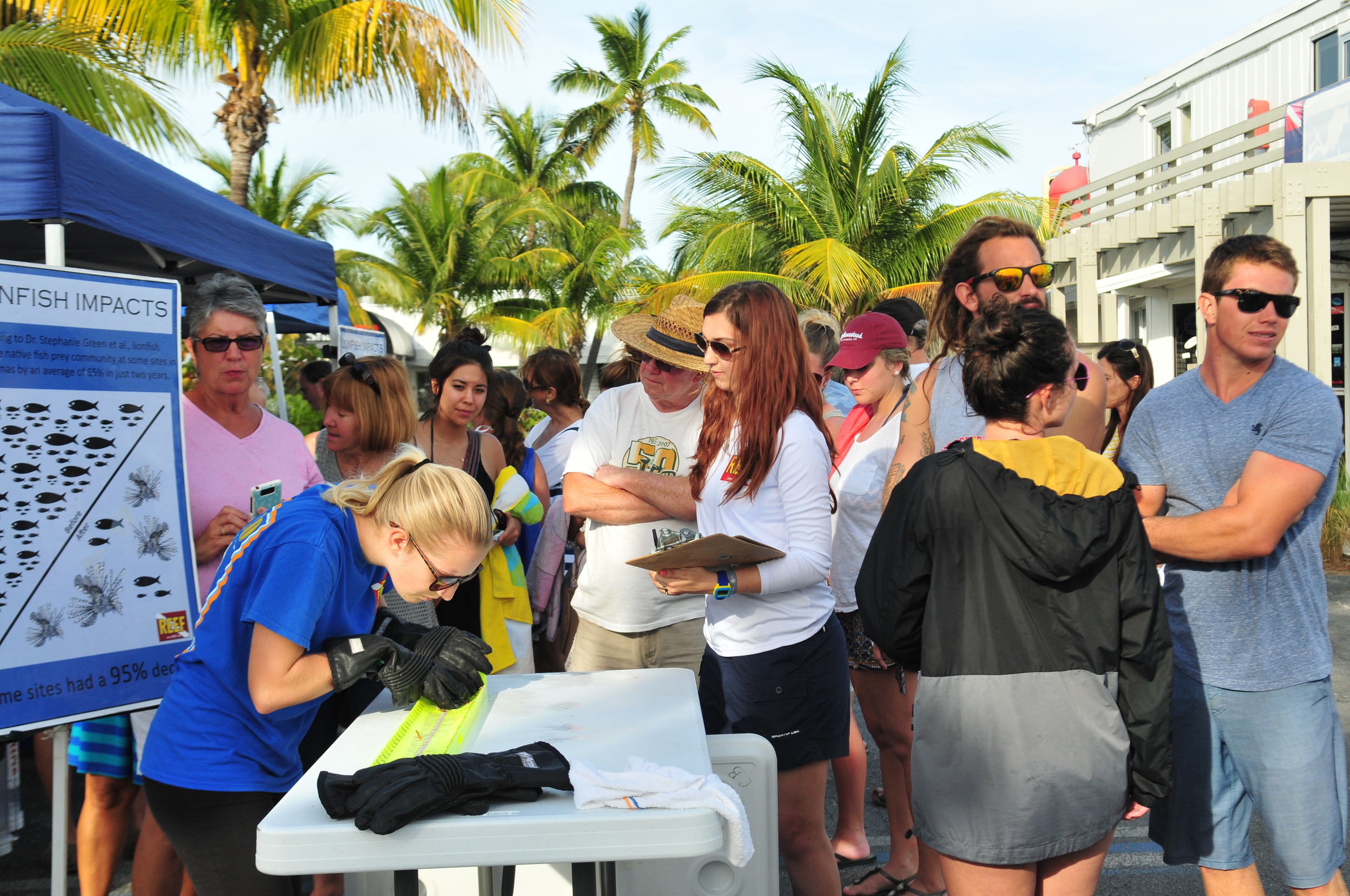 Lionfish Derby