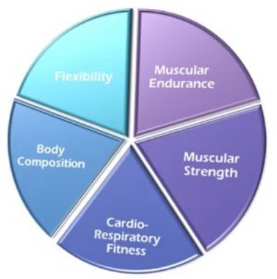 Five-Components-of-Physical-Fitness-for-you.jpg