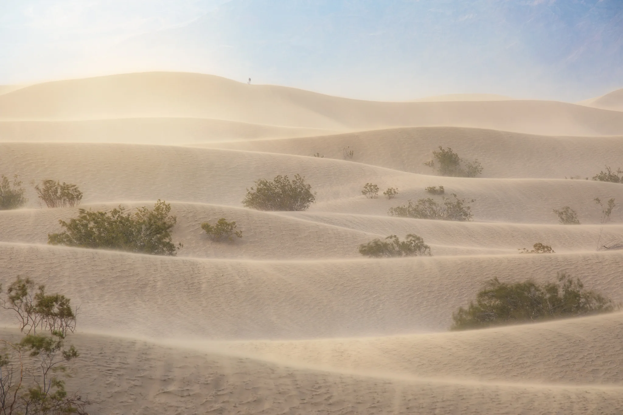 Mesquite Dunes, Death Valley National Park, CA
