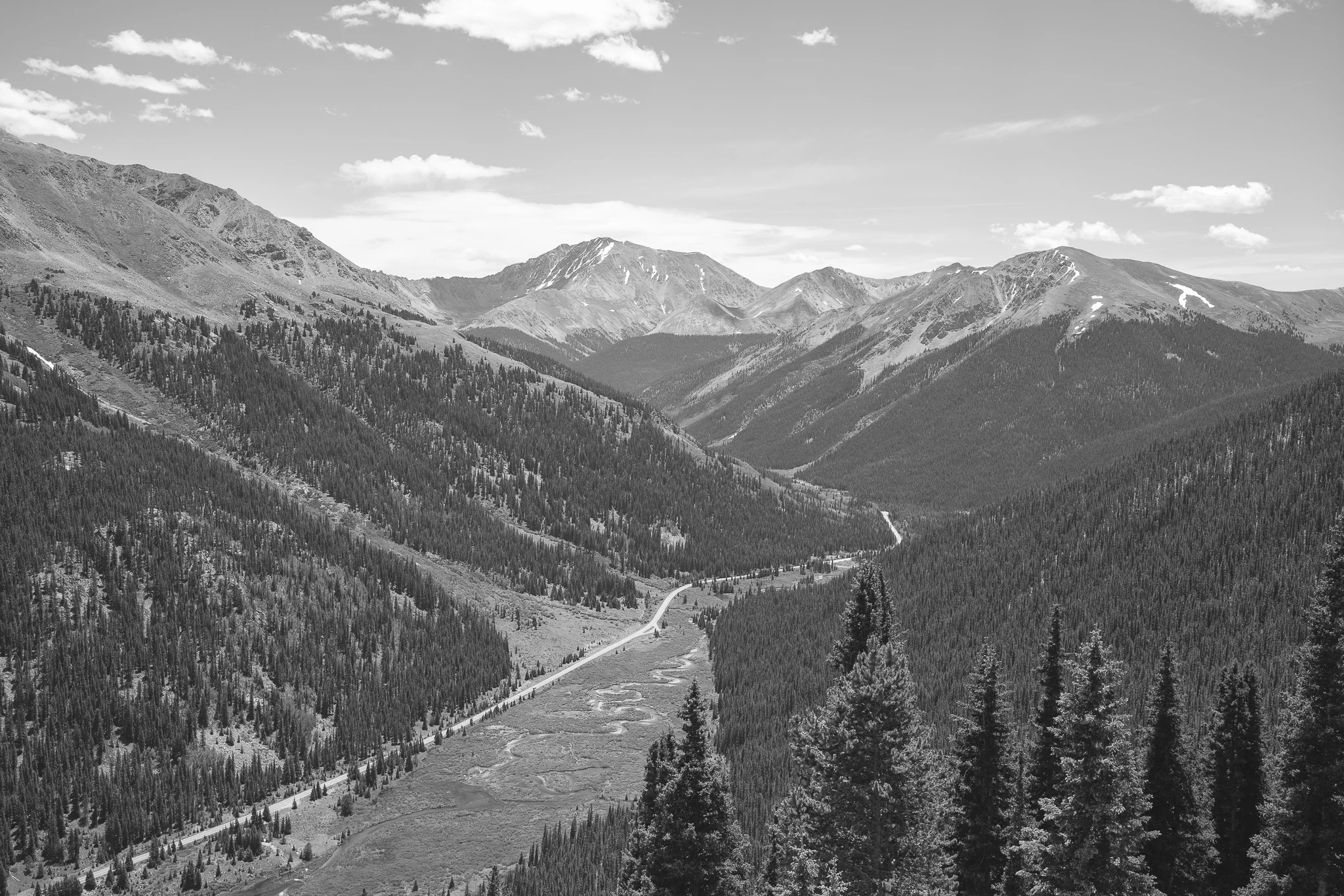 b&wMTNS.jpg