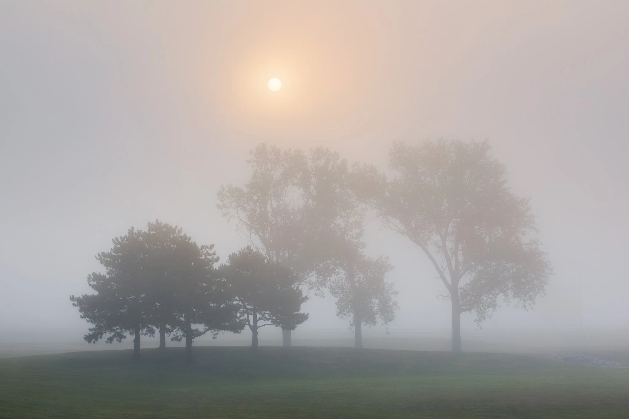 SunFog.jpg