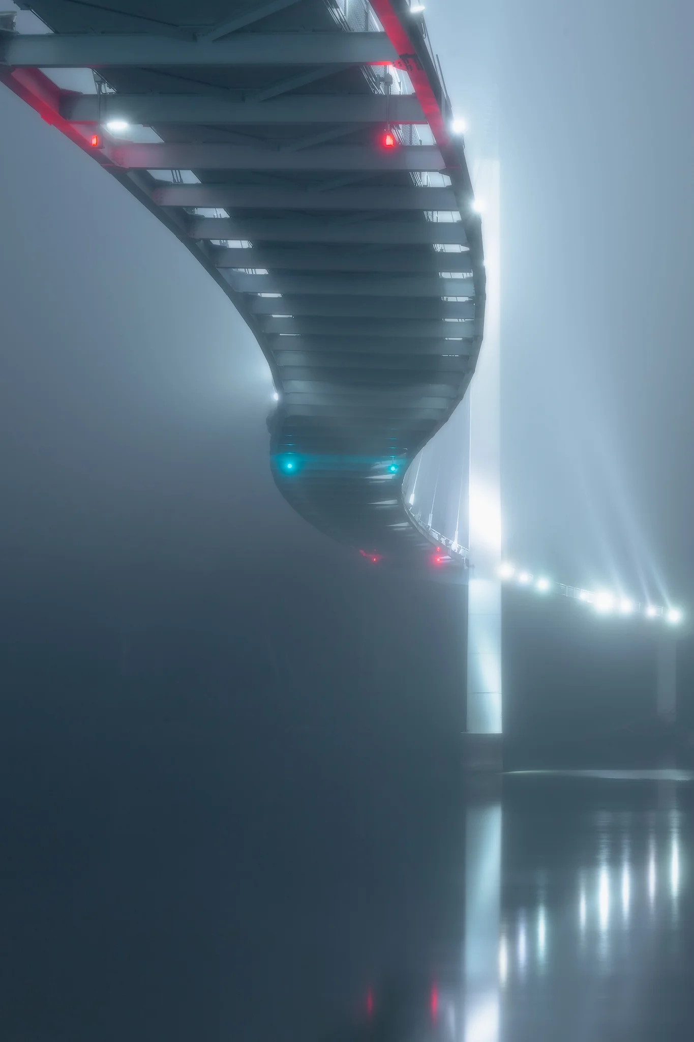 FoggyBob.jpg