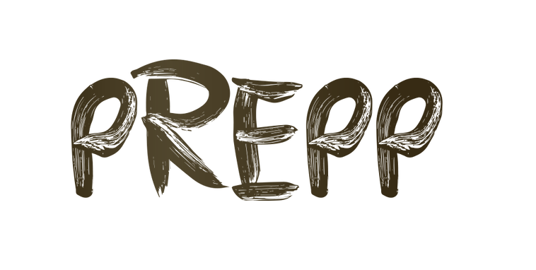 Logga Prepp copy.png
