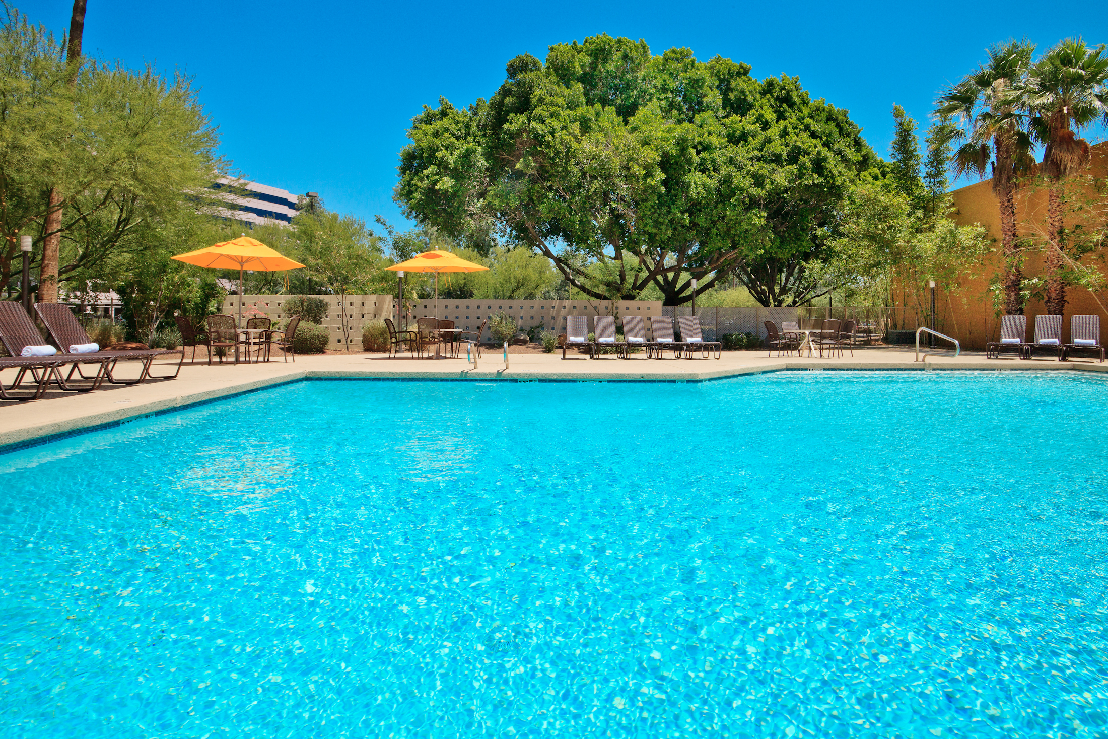 PHXMC_CP-Exterior Pool_2.jpg