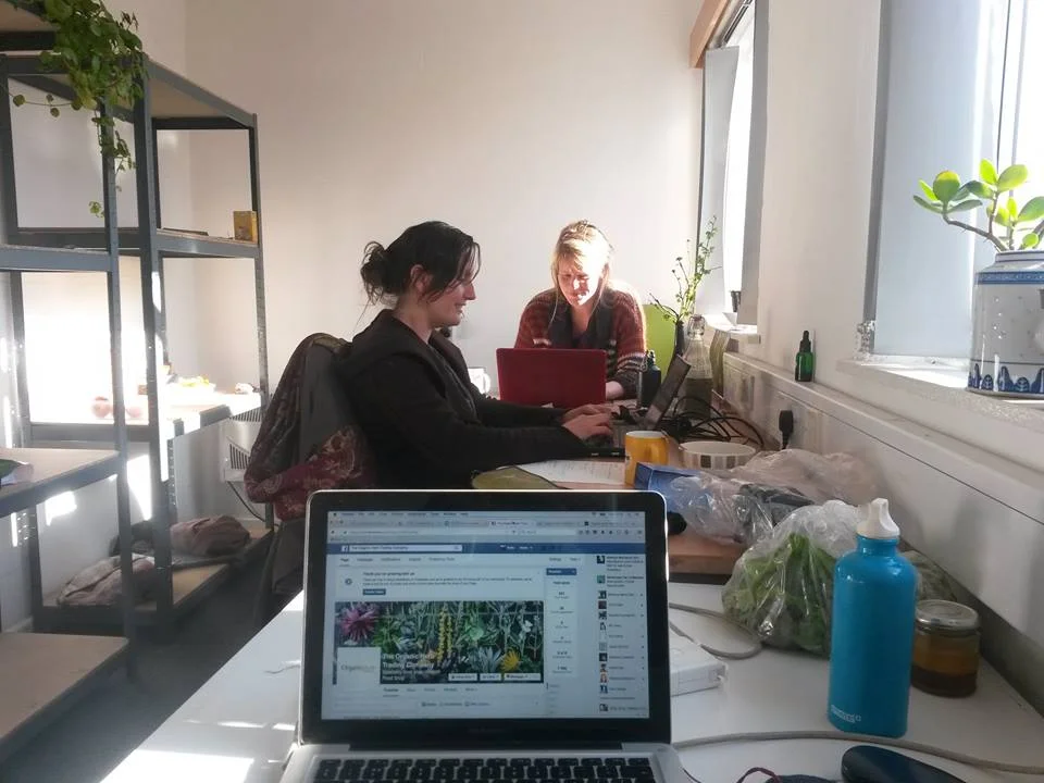Office OMM.jpg