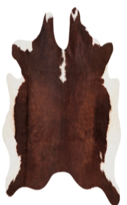 Screen Shot 2020-11-12 at 10.30.38 AM.png