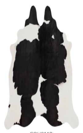 Screen Shot 2020-11-12 at 10.30.51 AM.png